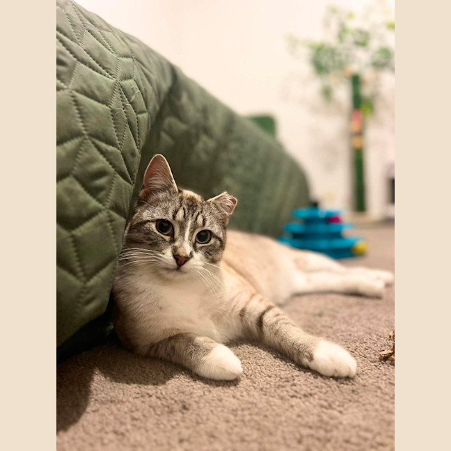 Photo of Gus