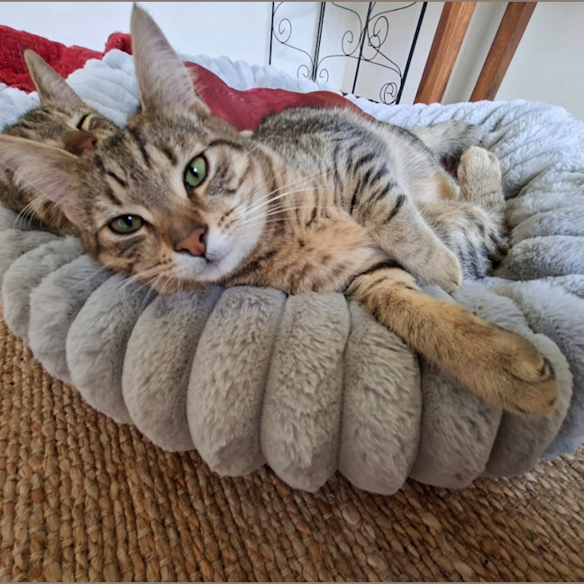 Photo of Twyla
