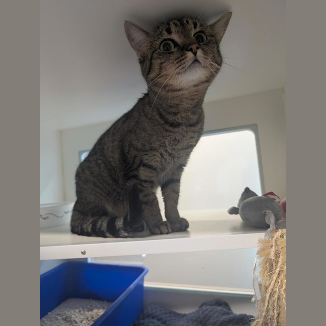 Photo of Bonnie