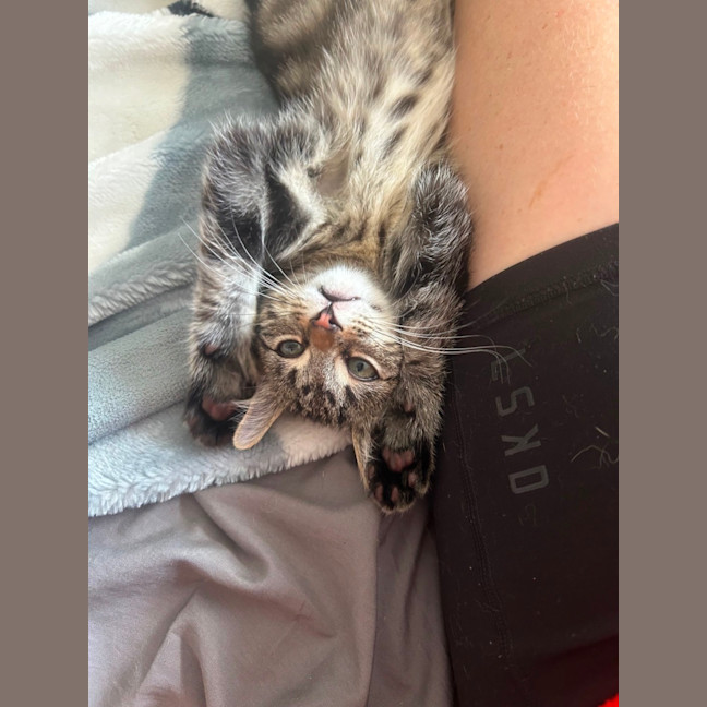 Photo of Horizon Aka "Have A Chat"