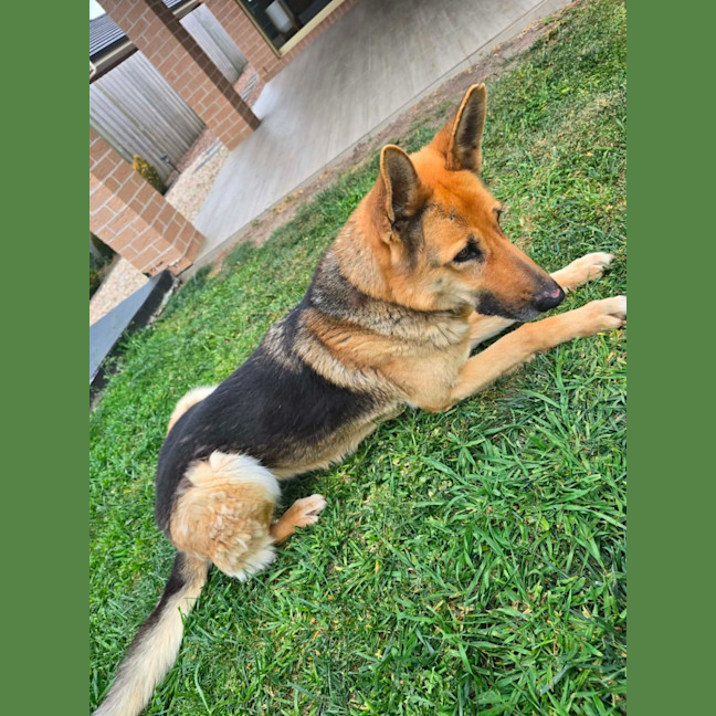 Photo of Lucy