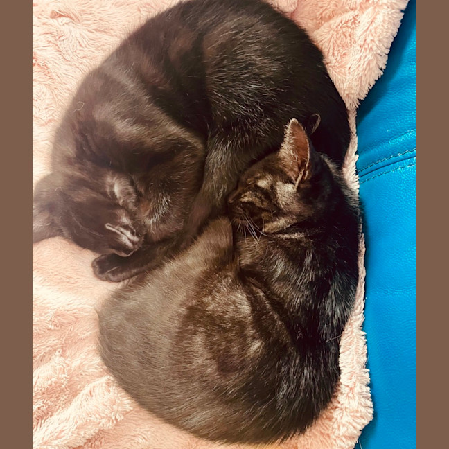 Photo of Rumor & Cider