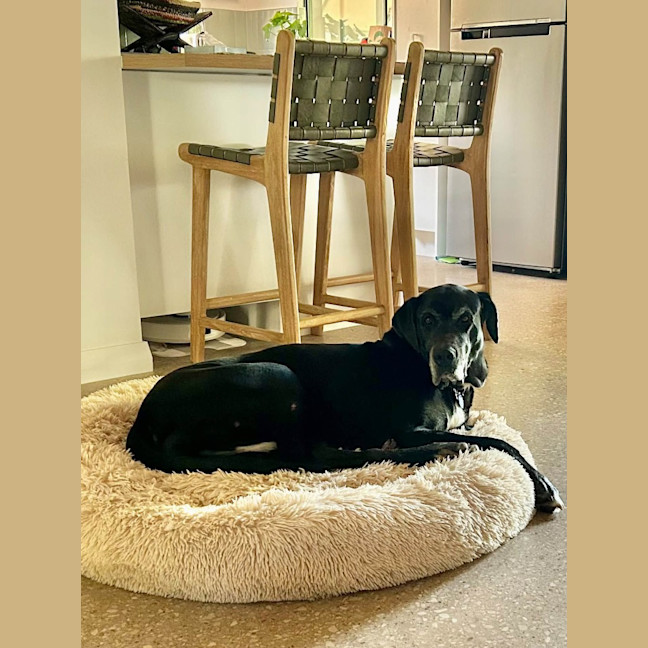 Photo of Sasha