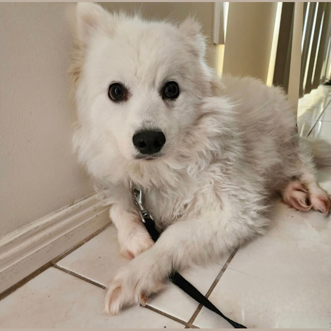 Photo of Keiko