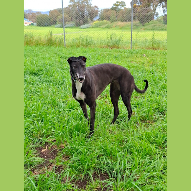 Photo of Tina