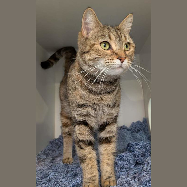 Photo of Star