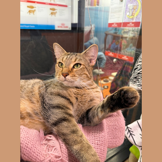 Photo of Spice