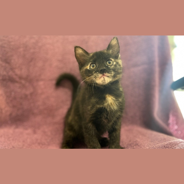 Photo of Sophia