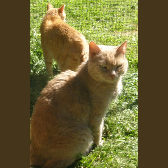 Photo of Grace,Reggie And Jack