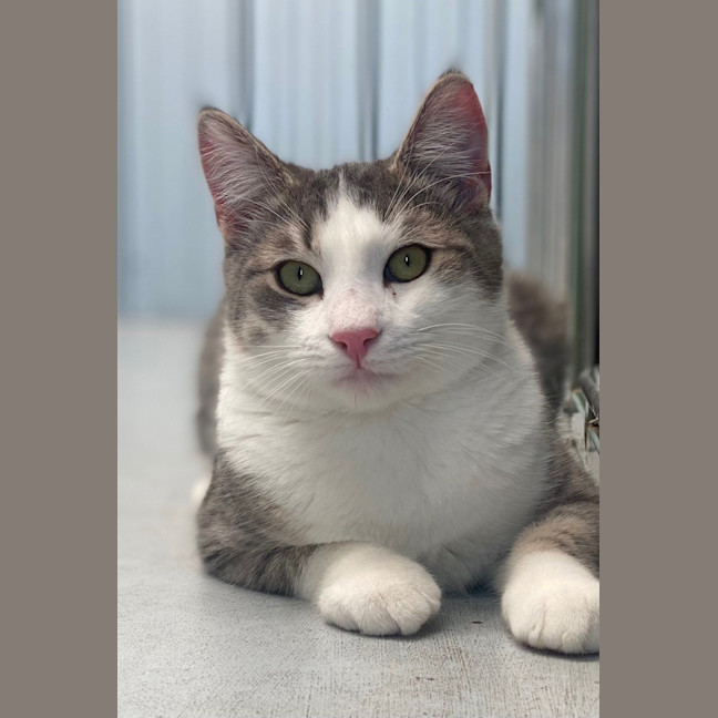 Photo of Timmy