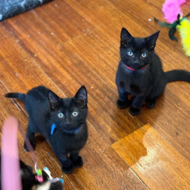 Photo of ❤️ Ravi ❤️