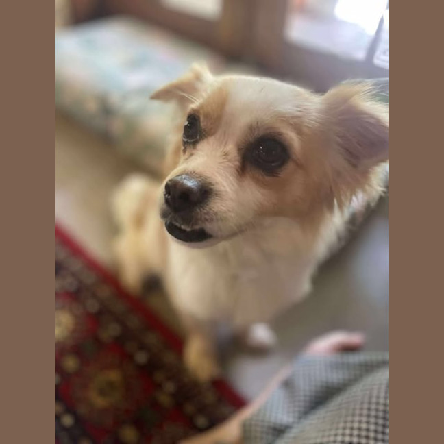 Photo of Pablo