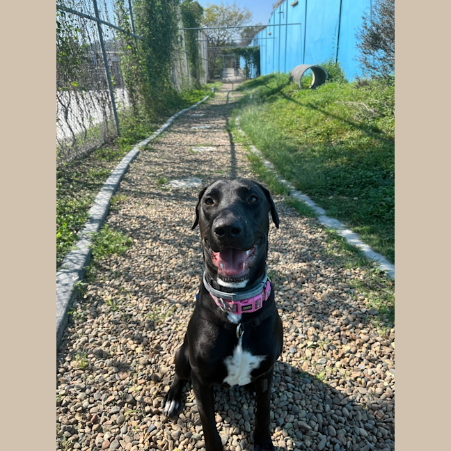Photo of Athena