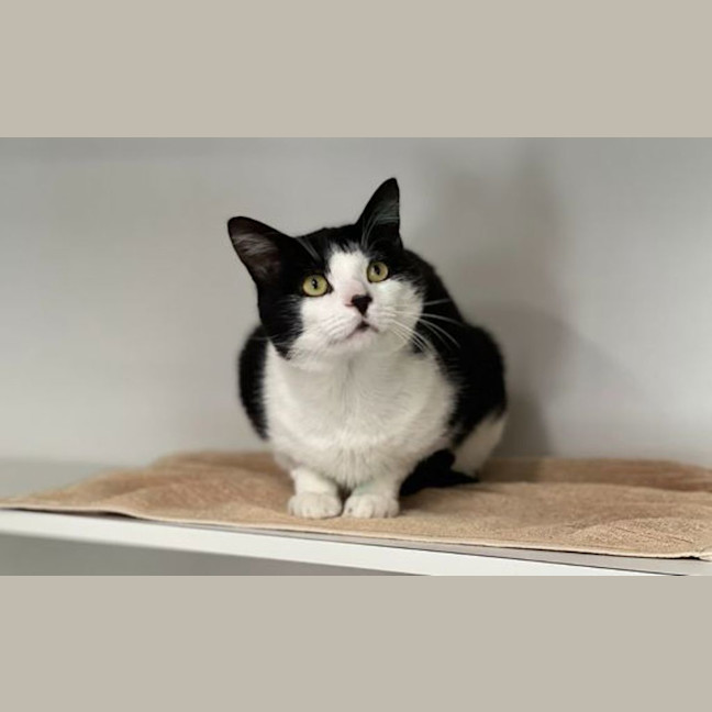 Photo of Louie