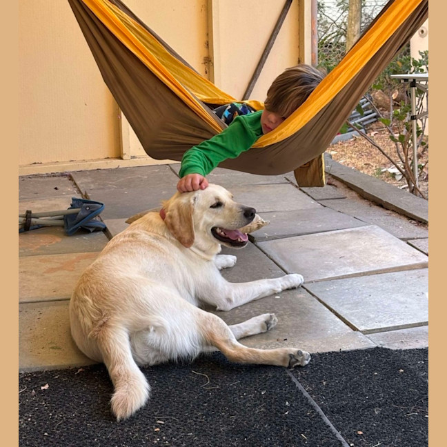Photo of Rosie