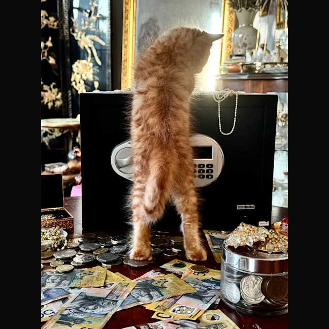 Photo of Tax Evasion And Debt Collector