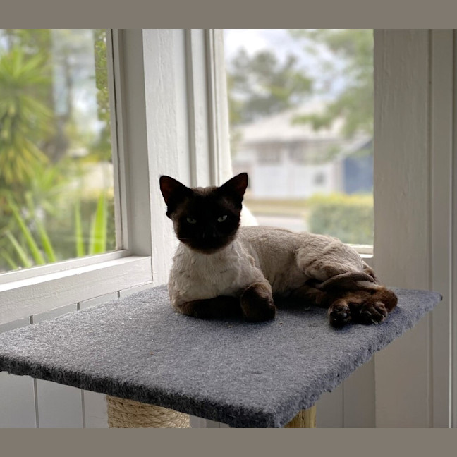 Photo of Moka