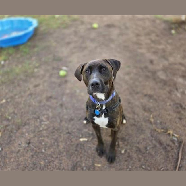 Photo of Lady Whistledown