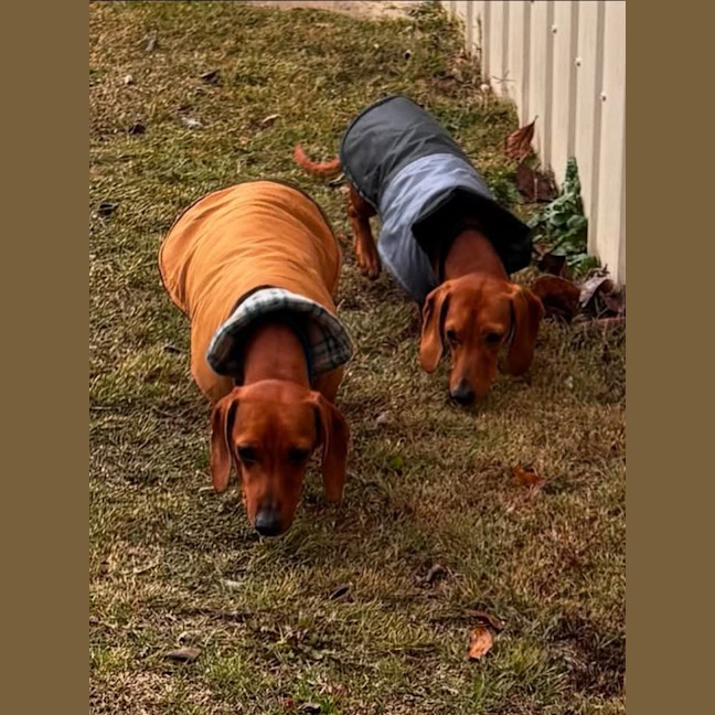 Photo of Evie And Ella