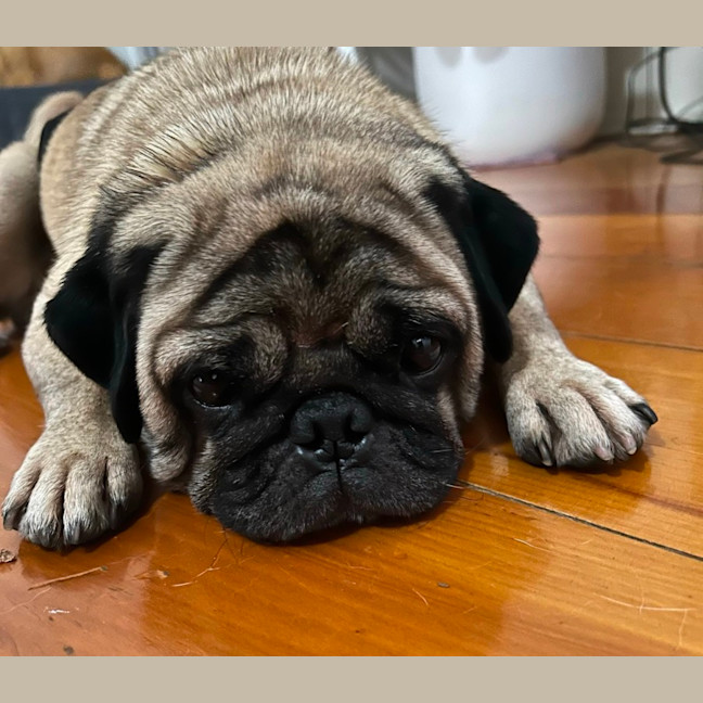 Photo of Walter