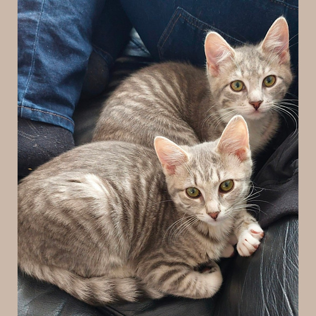 Photo of Zara And Zulu