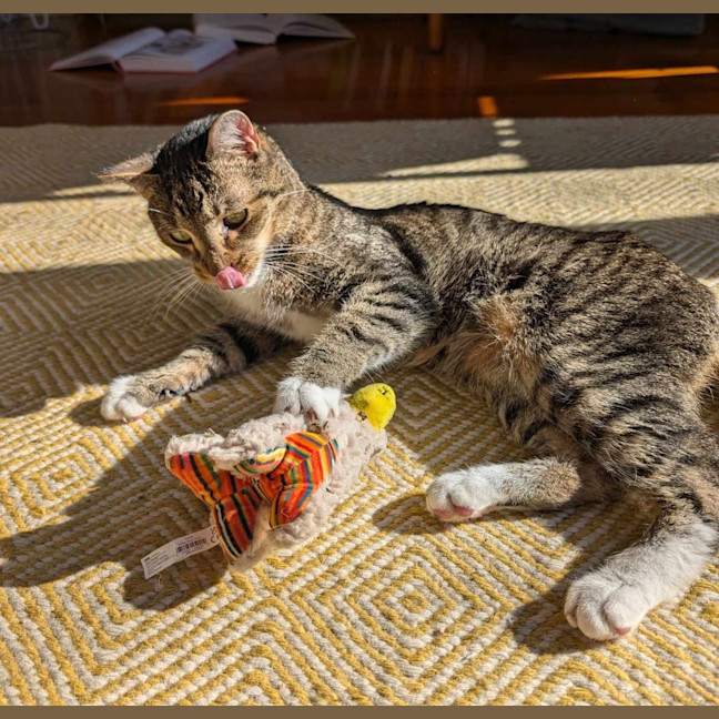 Photo of Monty
