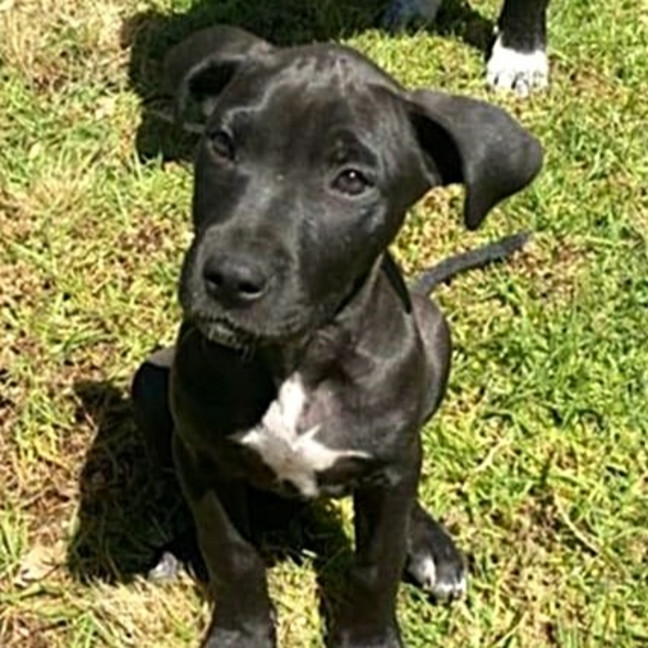 Photo of Passionfruit Bliss