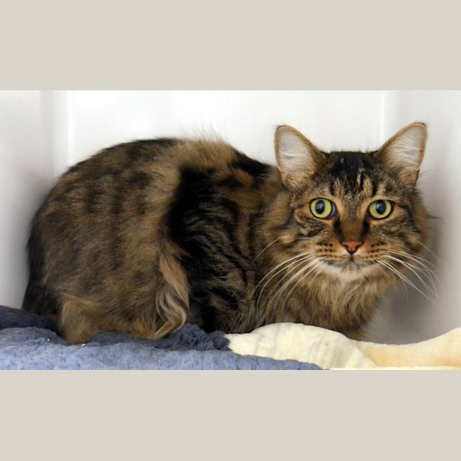 Photo of Prince Rsta013078