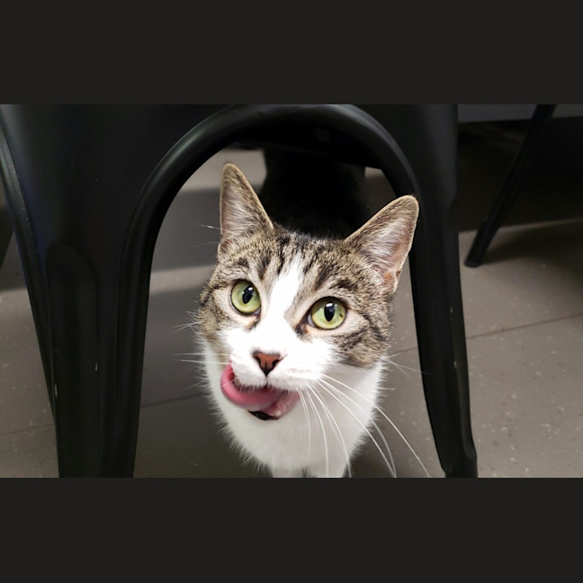 Photo of Luna Suk012823