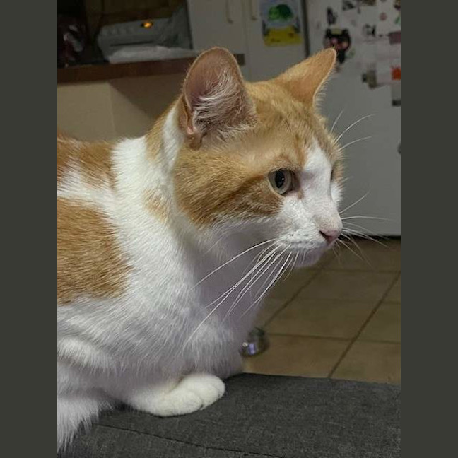 Photo of Valentino