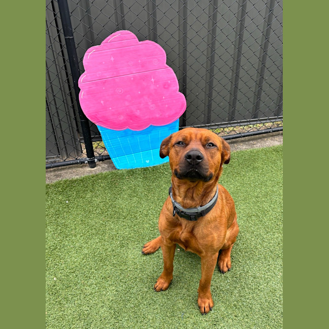 Photo of Phoebe