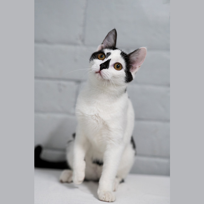 Photo of Candy