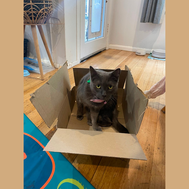 Photo of Luna
