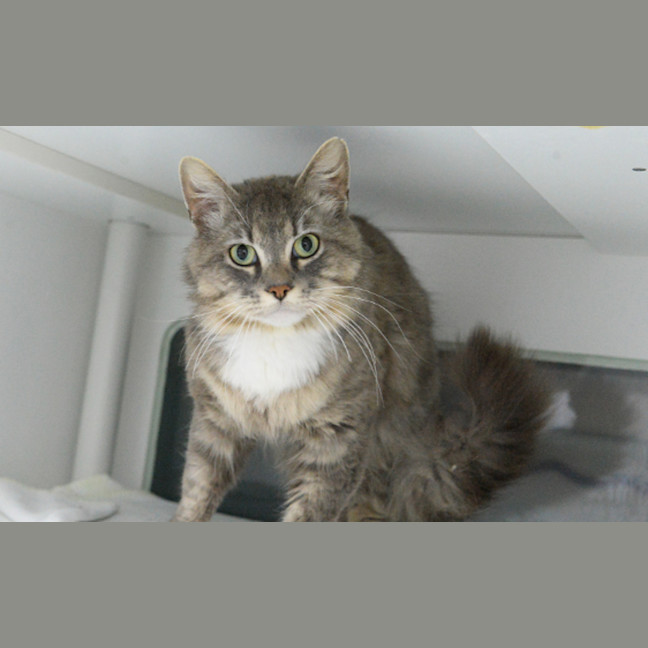 Photo of Renfield