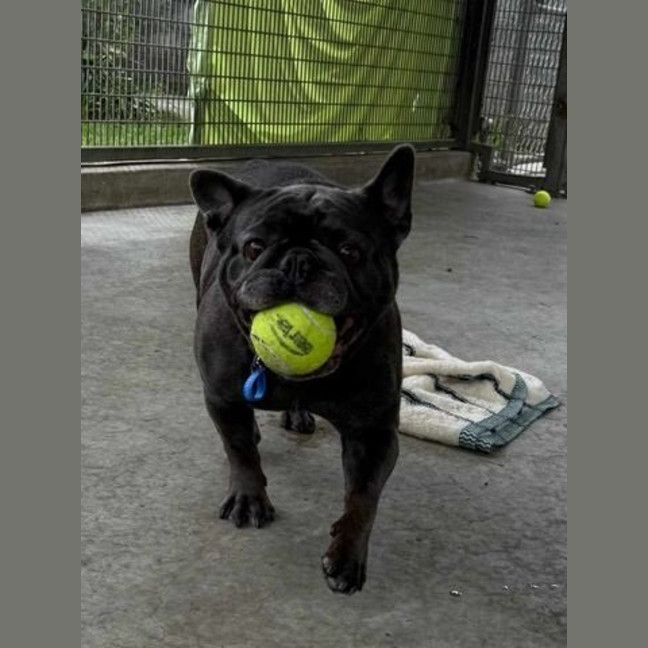 Photo of Charlie