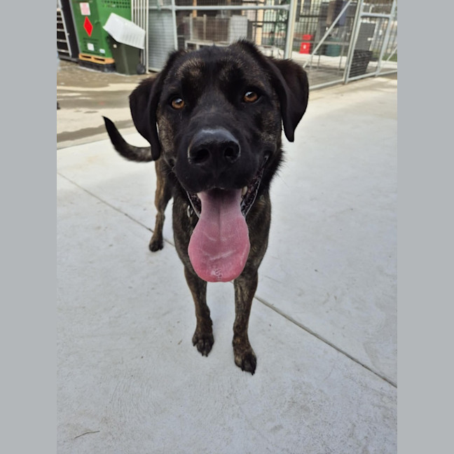 Photo of Whisky 🥃