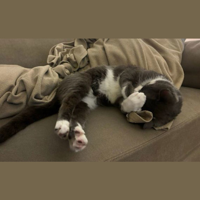 Photo of Bubbles