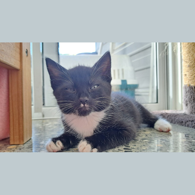 Photo of C1399 Clark