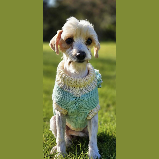 Photo of Penelope