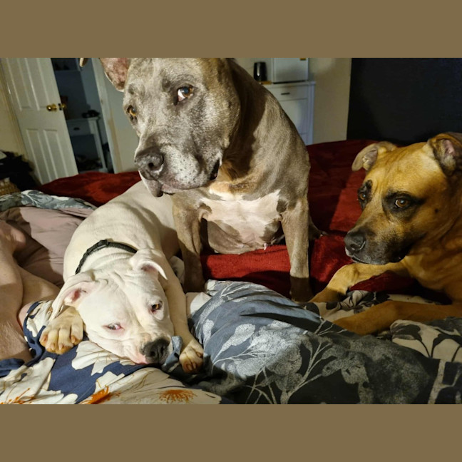 Photo of Crème Brulee