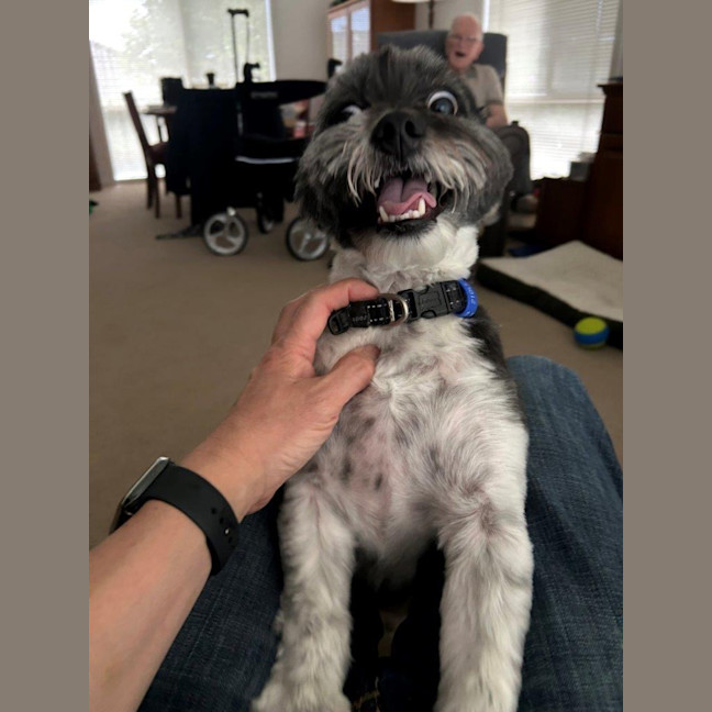 Photo of Cooper Xenos