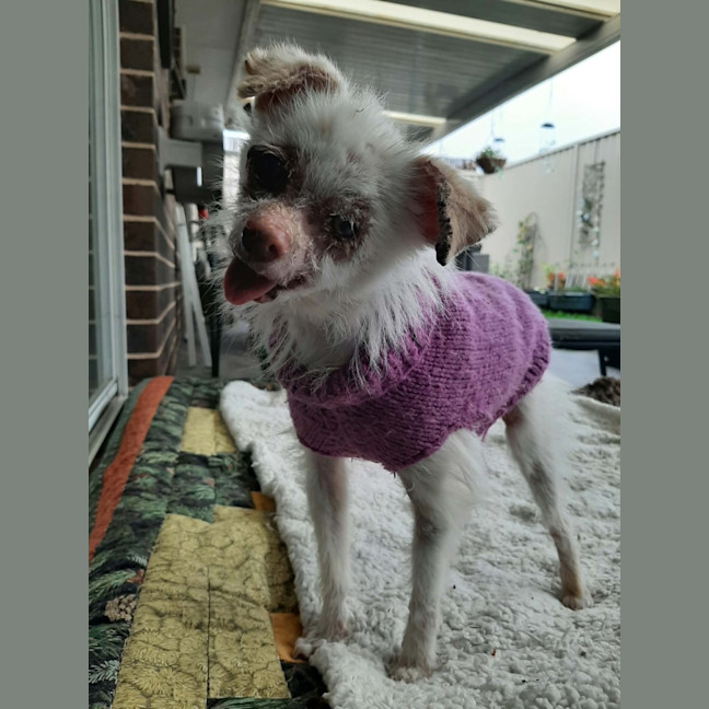 Photo of Mindy