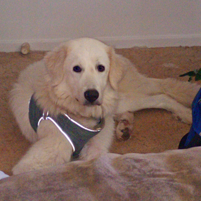 Photo of Bonnie