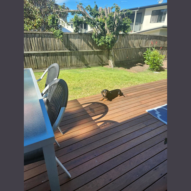 Photo of Tilly