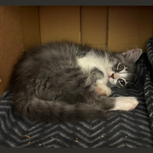 Photo of Hazel
