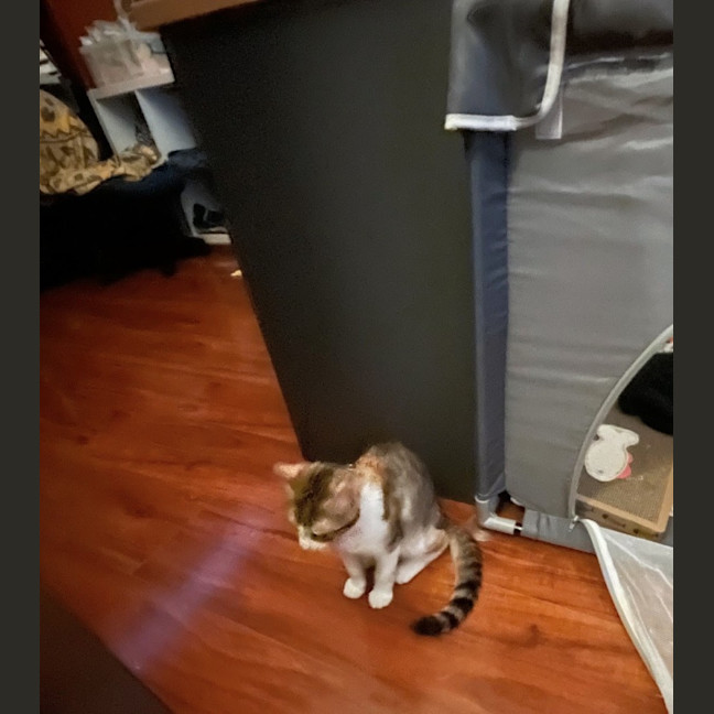 Photo of Lucyloo