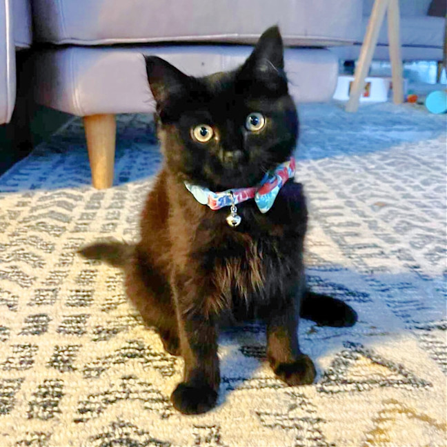 Photo of 💨Alcatraz💨