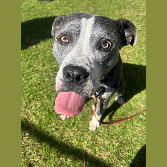 Photo of Tank