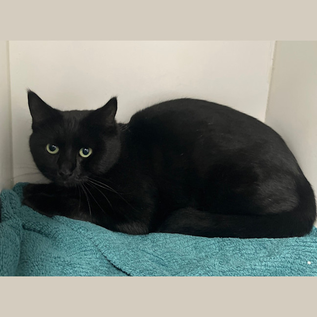 Photo of Spooky