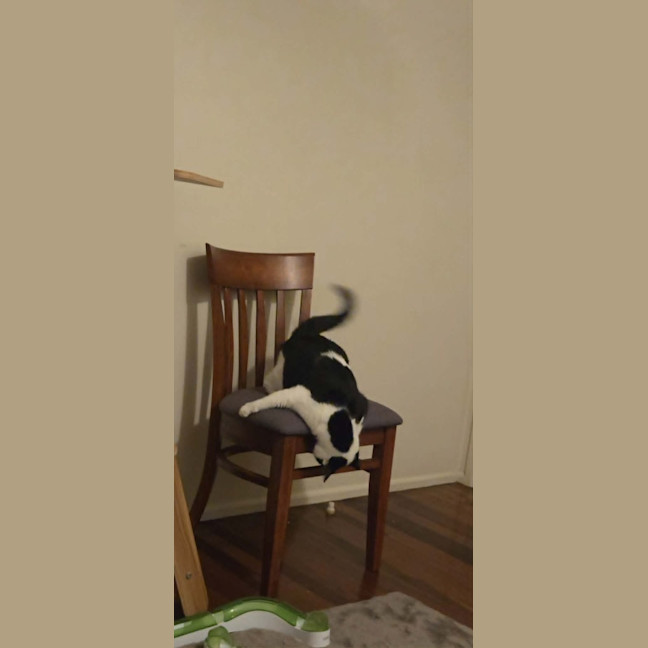 Photo of Angel